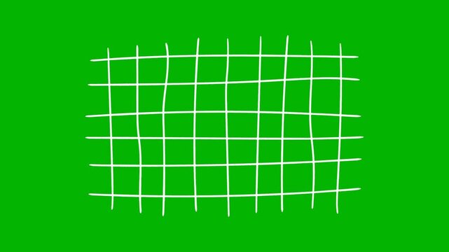 Hand-Drawn White Grid Animation and Scribble Table Lines on a transparent background.