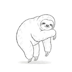 Obraz premium Smiling sloth illustration in a relaxed pose