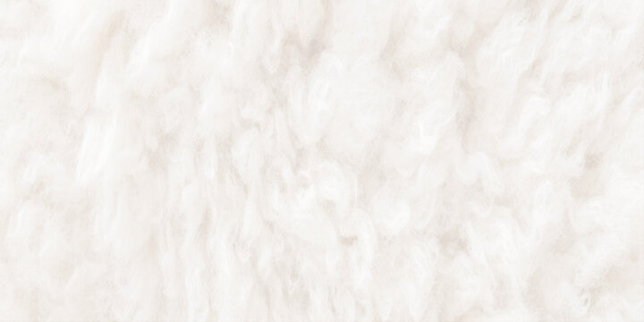 a close up of a white furry texture with soft light and shadows on the surface