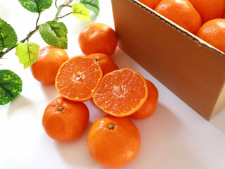 産地直送のみかん