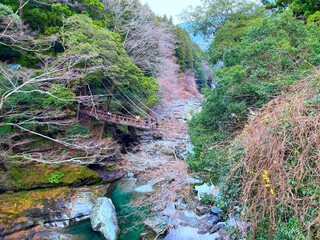 祖谷のかずら橋 俯瞰で見る イメージ