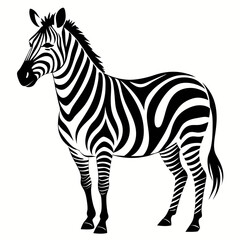 Obraz premium zebra vector illustration