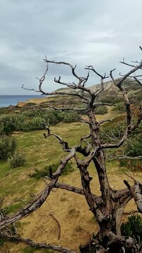 Beautiful landscape view from Bizerte, tunisia
