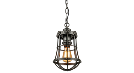 Industrial Cage Pendant Light Fixture with Edison Bulb.