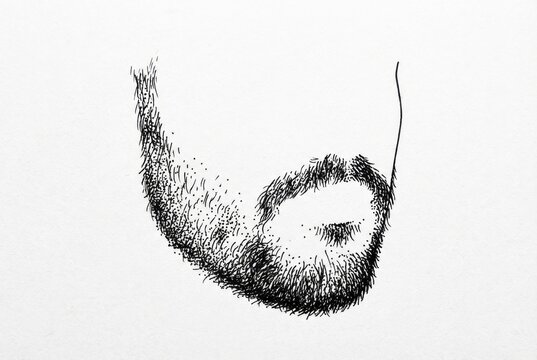 Hand drawn sketch of Patchy Beard 3/4 angle view isolated on white background.