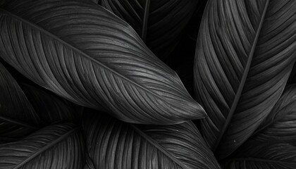 Dark Tropical Leaf Texture with Abstract Botanical Pattern Dark