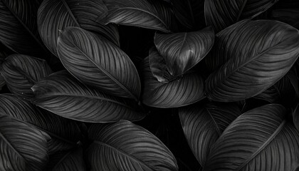 Dark Tropical Leaf Texture with Abstract Botanical Pattern