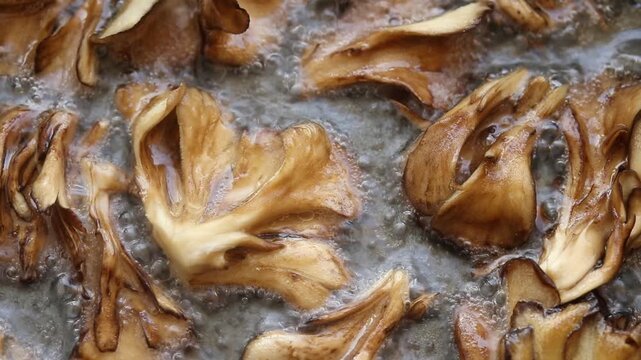 Hen of the Woods or Maitake Mushroom are Fried in Boiling Oil. Close-up view