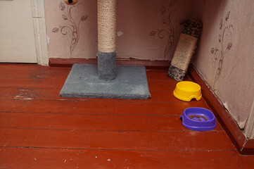 A cat's scratching post stands next to two colorful food bowls on a rustic, red-painted wooden floor