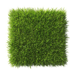 Vibrant Green Grass Square Patch Isolated on Transparent Background