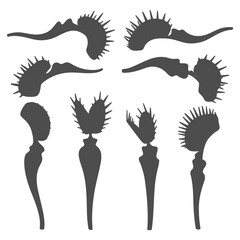 Set of black and white illustrations of venus flytrap. Isolated vector objects.