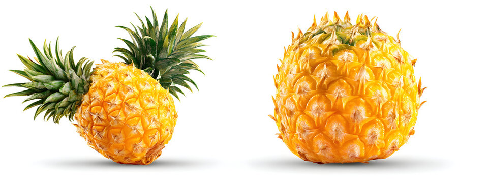 Vibrant and juicy whole pineapples with spiky green crowns showcasing their golden yellow ripeness, presented on a clean white background for a fresh tropical feel - Powered by Adobe