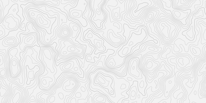 White abstract terrain relief inspired by geographic elevation maps
Curved contour lines creating depth and motion across the surface