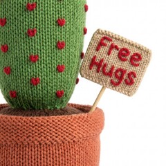 Cute Cactus in Pot with Free Hugs Sign for Quirky Home Decor