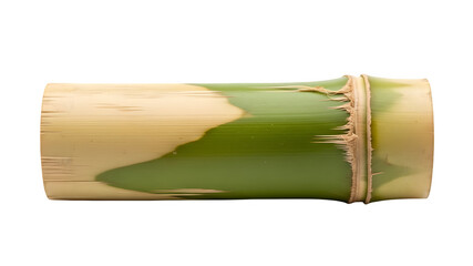 Isolated Bamboo Stem Segment on White Background for Natural Design Projects
