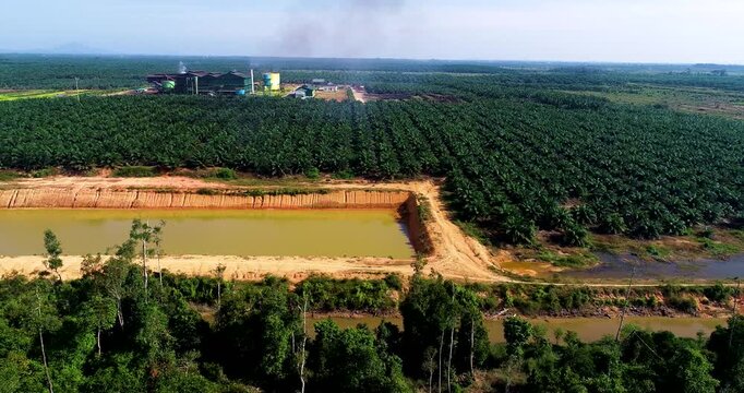Cinematic Drone Pan Left Showing Large Scale Irrigation Pond with Industrial CPO Processing Factory Background in Palm Oil Estate, Southeast Asia