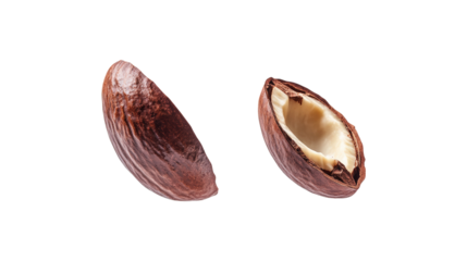 Nutmeg spice halves isolated on transparent background aromatic cooking ingredient