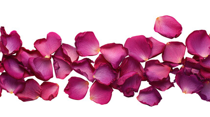 Pink rose petals scattered on transparent background adding beauty and romance