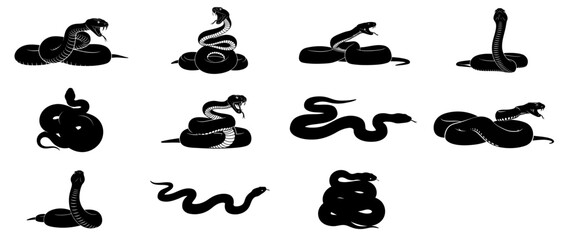 whispers of the wild a dynamic collection unveiling the enigmatic essence of serpents in motion, vector isolated on transparent background