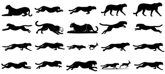 elemental speed a visual chronicle of africas swiftest hunter, sculpting pure instinct in motion set, vector isolated on transparent background