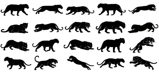 midnight hunters tapestry a collection illustrating the fluidity and power of the black panther, vector isolated on transparent background