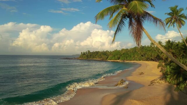 Drone Rising Above Palm Beach At Golden Sunset In Sri Lanka