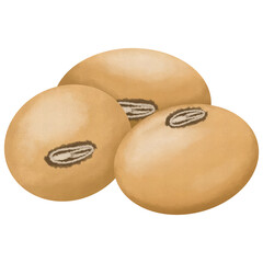 Three soybeans watercolor illustration