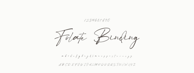 Signature Font Uppercase Lowercase And Number. Script Font Calligraphy Logotype  elegant Font Type Font lettering handwritten. vector illustration © Nimra
