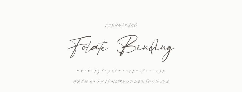 Signature Font Uppercase Lowercase And Number. Script Font Calligraphy Logotype  elegant Font Type Font lettering handwritten. vector illustration