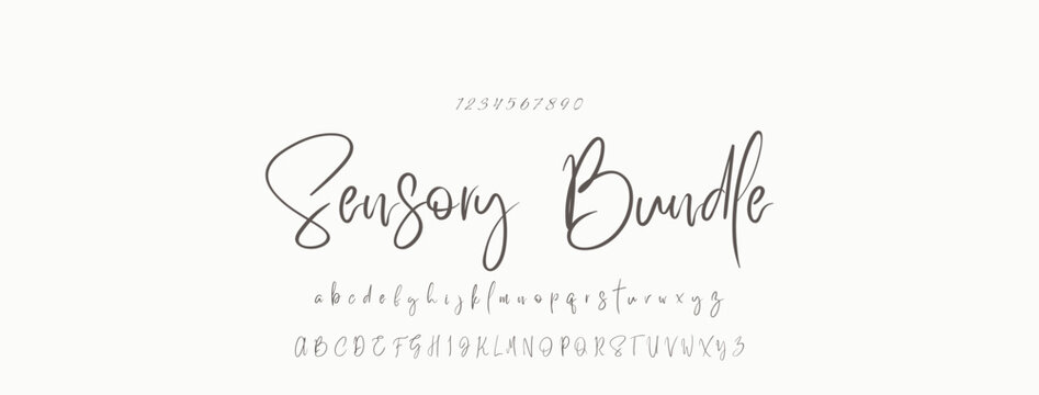 Signature Font Uppercase Lowercase And Number. Script Font Calligraphy Logotype  elegant Font Type Font lettering handwritten. vector illustration