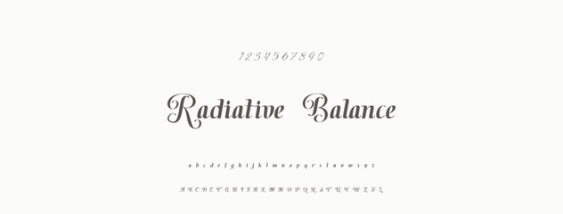 Obraz premium Handwrite signature font Calligraphy Logotype Script Brush Font Type Font lettering handwritten.