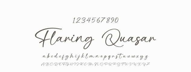 Handwrite signature font Calligraphy Logotype Script Brush Font Type Font lettering handwritten. © Nimra