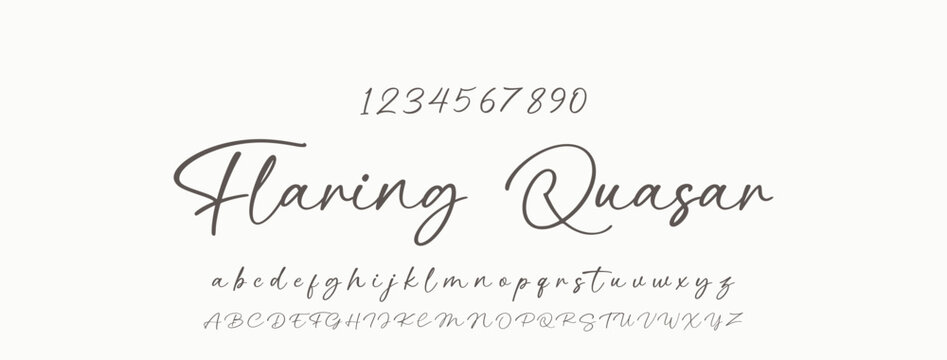Handwrite signature font Calligraphy Logotype Script Brush Font Type Font lettering handwritten.