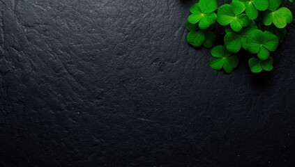 Shamrock Leaves on Dark Slate Surface, Top View