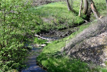 Bachlauf im Fr&uuml;hling