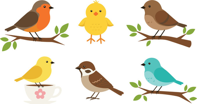 Cute colorful birds cartoon icons set perched on branches and cup for nature illustration design