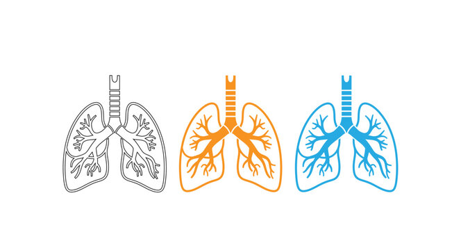 Human lungs anatomy in orange and blue neon lights