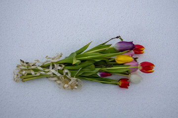 Bright tulips arranged with green leaves on a light background during daytime