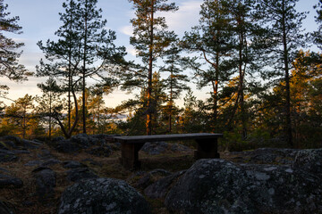 Bench in woods during sunset with trees and rocks surrounding the area