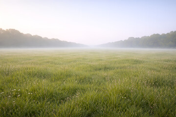 Fototapeta premium morning mist over the field
