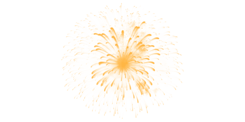 Golden firework burst illuminating dark night sky for festive celebrations holiday events joyous New Year s stunning