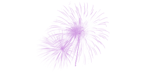 Dazzling purple lavender fireworks burst in the dark night sky a vibrant celebratory display for festive events and