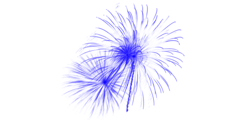 Dramatic vibrant blue fireworks explode against the deep black night sky a dazzling light show spectacle capturing the