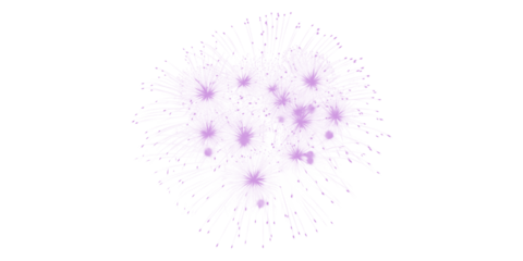 Vibrant purple fireworks burst brilliantly illuminating the dark night sky with a dazzling magical display for festive