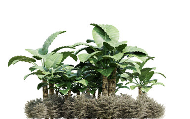 3d illustration Plants with Vibrant Leaves Growing in an Organic Garden Environment on Transparent Background