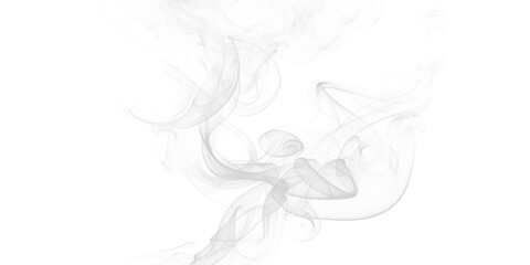 Dynamic white smoke gracefully swirls isolated on deep black Ethereal abstract vapor patterns mysterious flow perfect