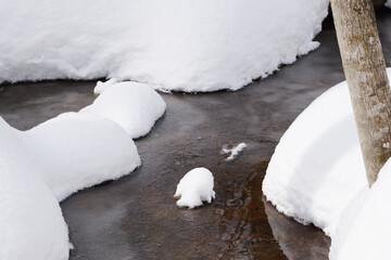 北海道　真冬の原生林