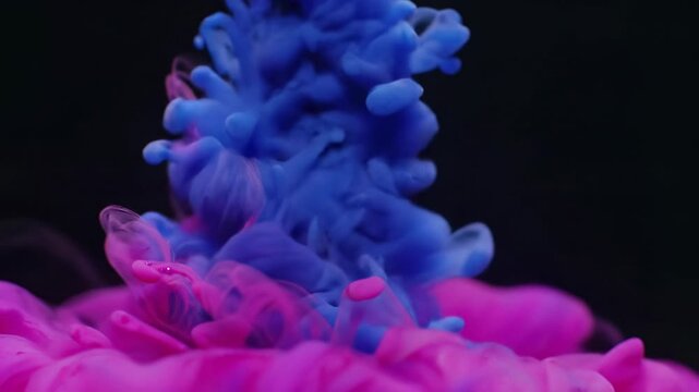 Mesmerizing ultra-slow motion video of vibrant magenta and deep blue inks expanding, swirling gracefully in crystal clear water against an absolute black background, captured with crisp studio