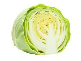 Fototapeta premium A close-up of a cabbage cut in half