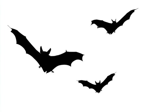 Three flying black bat silhouettes on a plain white background, a Halloween-themed digital design